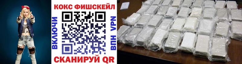 Cocaine FishScale  сколько стоит  кракен ССЫЛКА  Трубчевск 