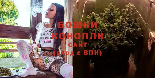 сатива Лихославль
