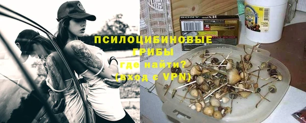 СК Магадан
