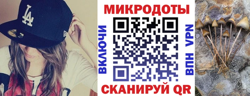 KRAKEN зеркало Трубчевск маркетплейс как зайти Псилоцибиновые грибы ЛСД