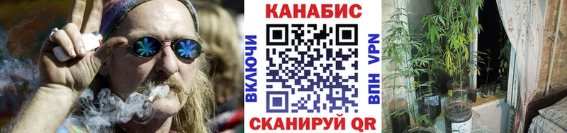 Шишки марихуана семена  Трубчевск 